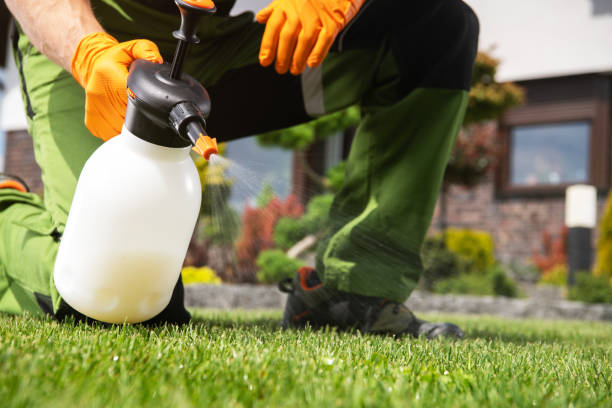 Best Best Pest Control Companies  in Washburn, ND