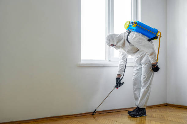 Reliable Washburn, ND Pest Control Solutions