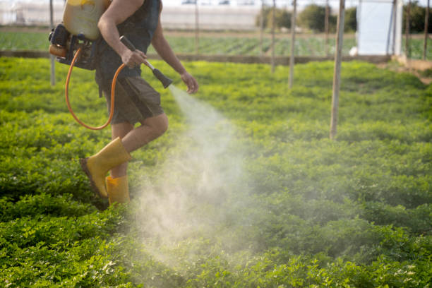 Best Pest Control Near Me  in Washburn, ND