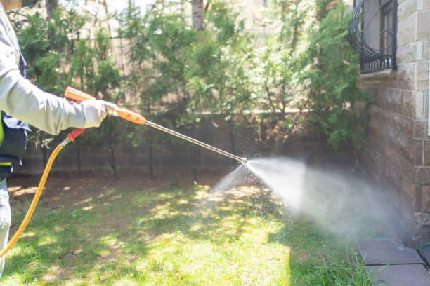 Best Pest Control Near Me in Washburn, ND