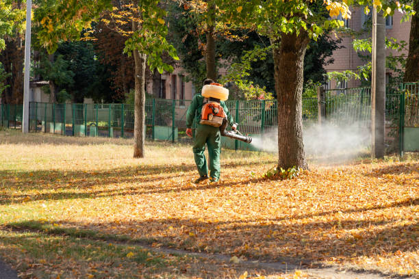 Best Pest Control for Restaurants  in Washburn, ND
