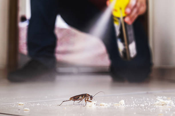 Insect Control in Washburn, ND
