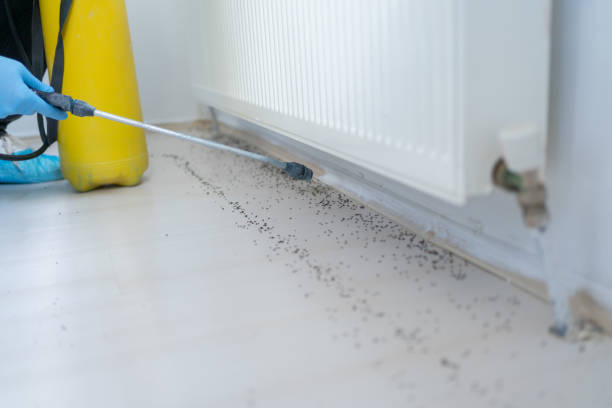 Best Pest Inspection Near Me  in Washburn, ND