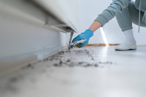 Best Wasp Removal Services  in Washburn, ND