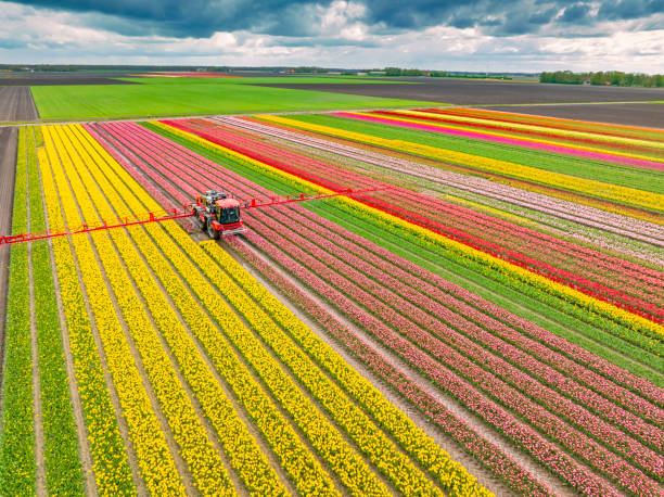 Pest Control Cost in Washburn, ND